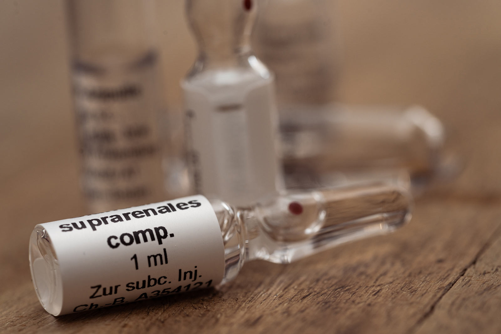 Bioregulative Ganzheitsmedizin